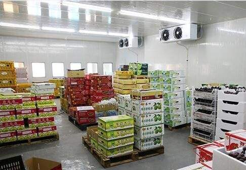 食品能够入驻第三方仓库吗？必要把稳什么？