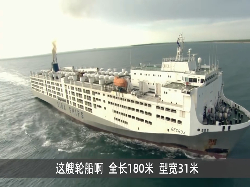 业务全球化，若何一次海运16000头活牛？