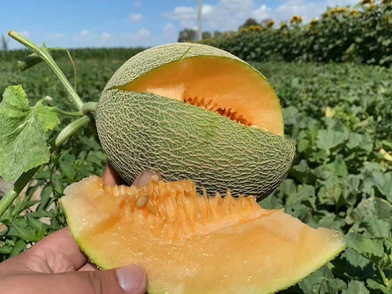 ���ܹ�