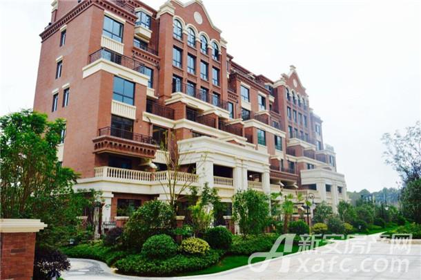 Ag亚洲集团(中国区)官方网站